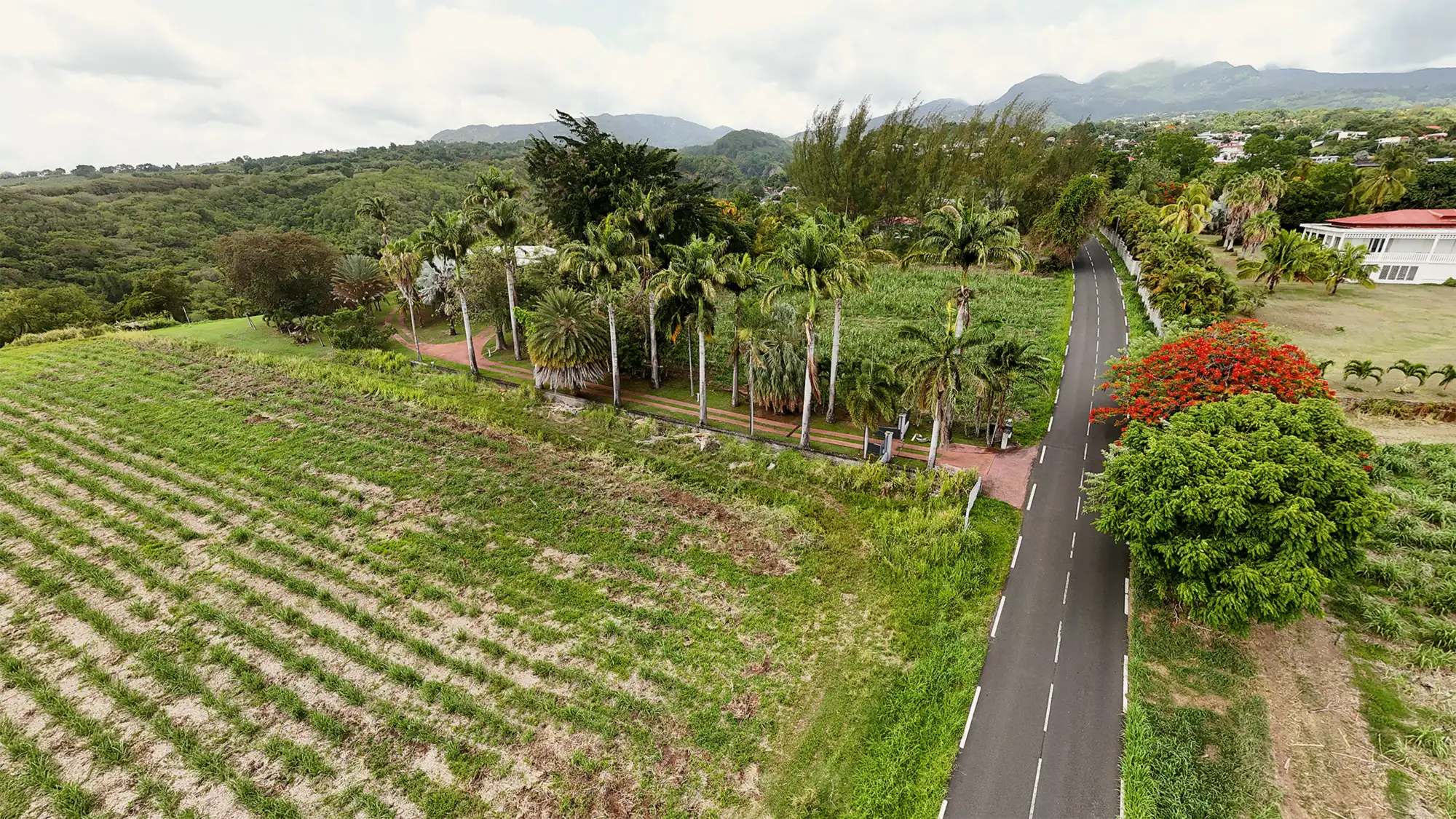 Le domaine vu depuis la route